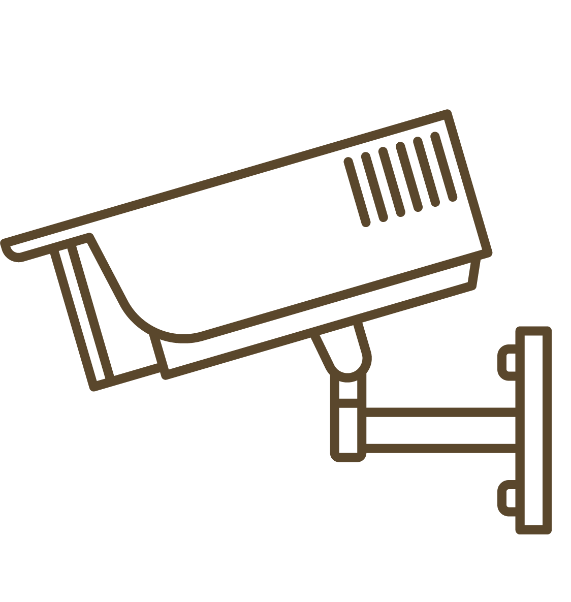 Advance Security and CCTV