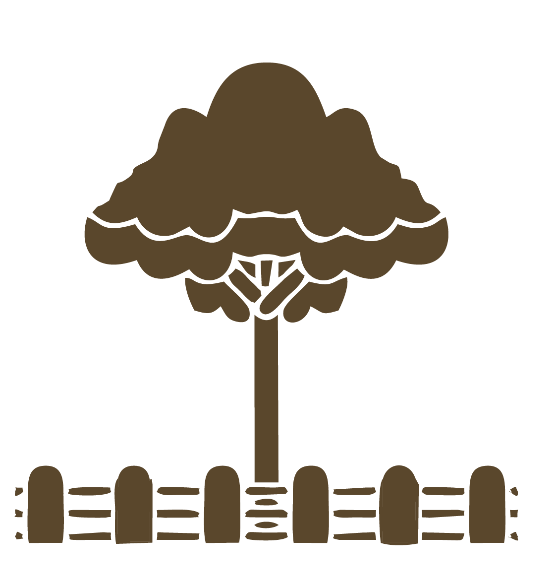 Lawn Area